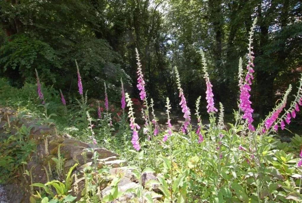 Maristow Cottages, Overlook Tamar Valley Dartmoor Plymouth Ngoại thất bức ảnh