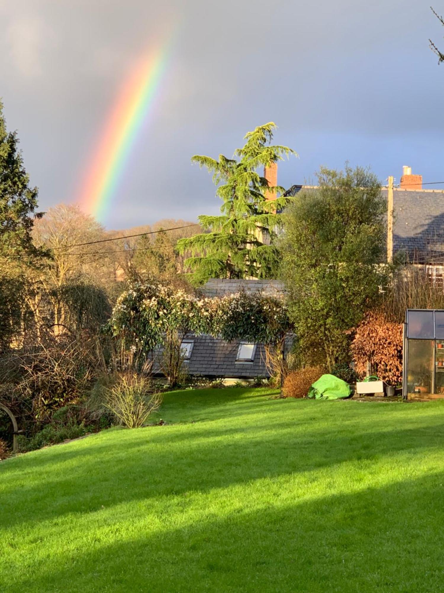 Maristow Cottages, Overlook Tamar Valley Dartmoor Plymouth Ngoại thất bức ảnh