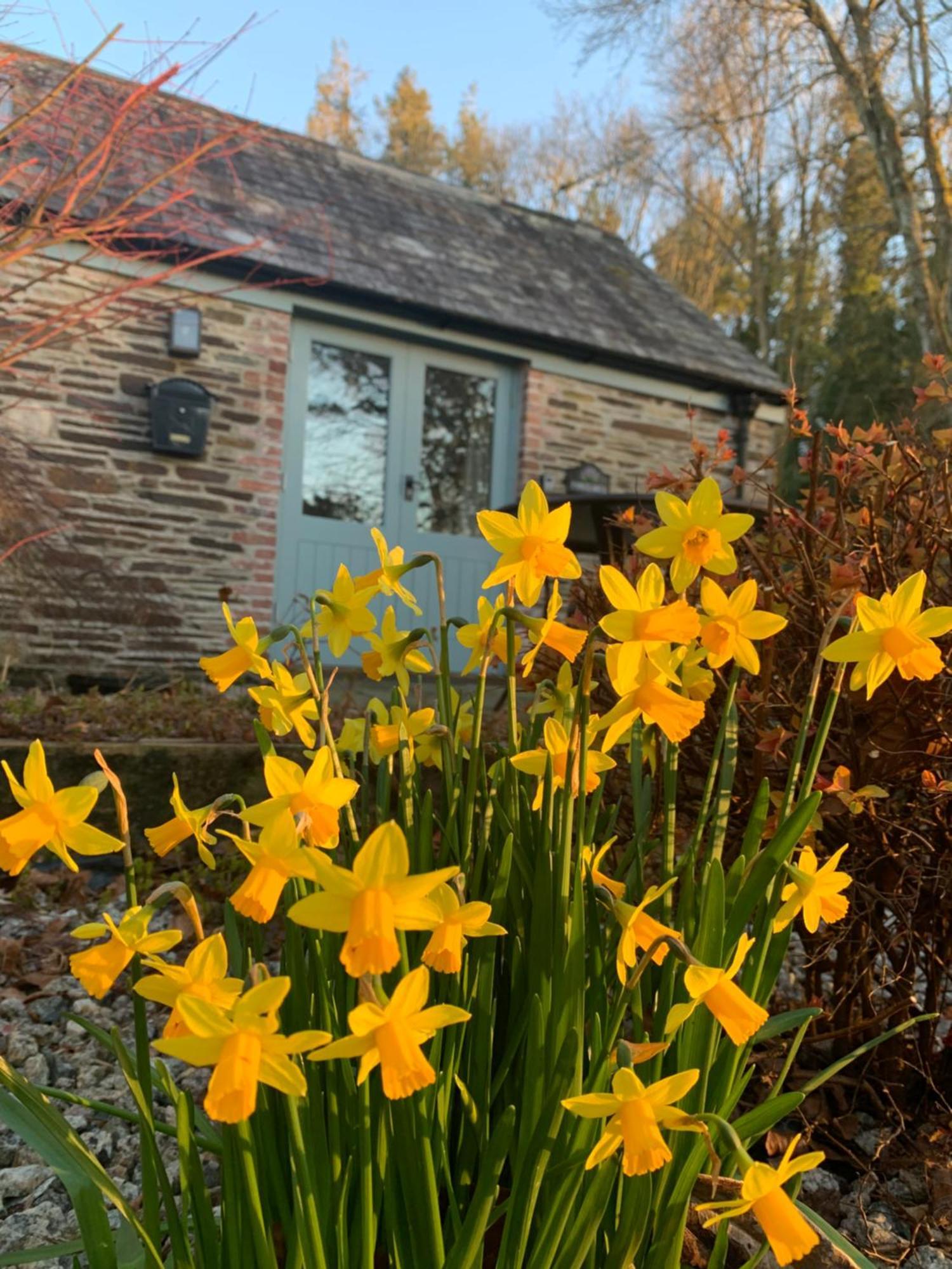 Maristow Cottages, Overlook Tamar Valley Dartmoor Plymouth Ngoại thất bức ảnh