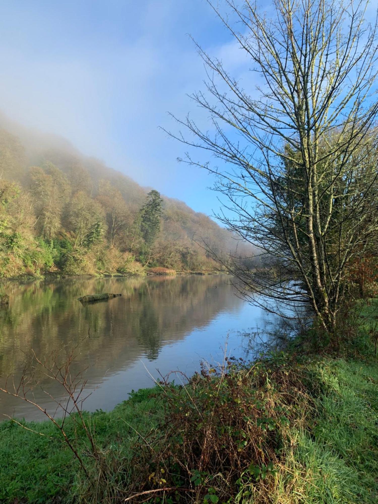 Maristow Cottages, Overlook Tamar Valley Dartmoor Plymouth Ngoại thất bức ảnh
