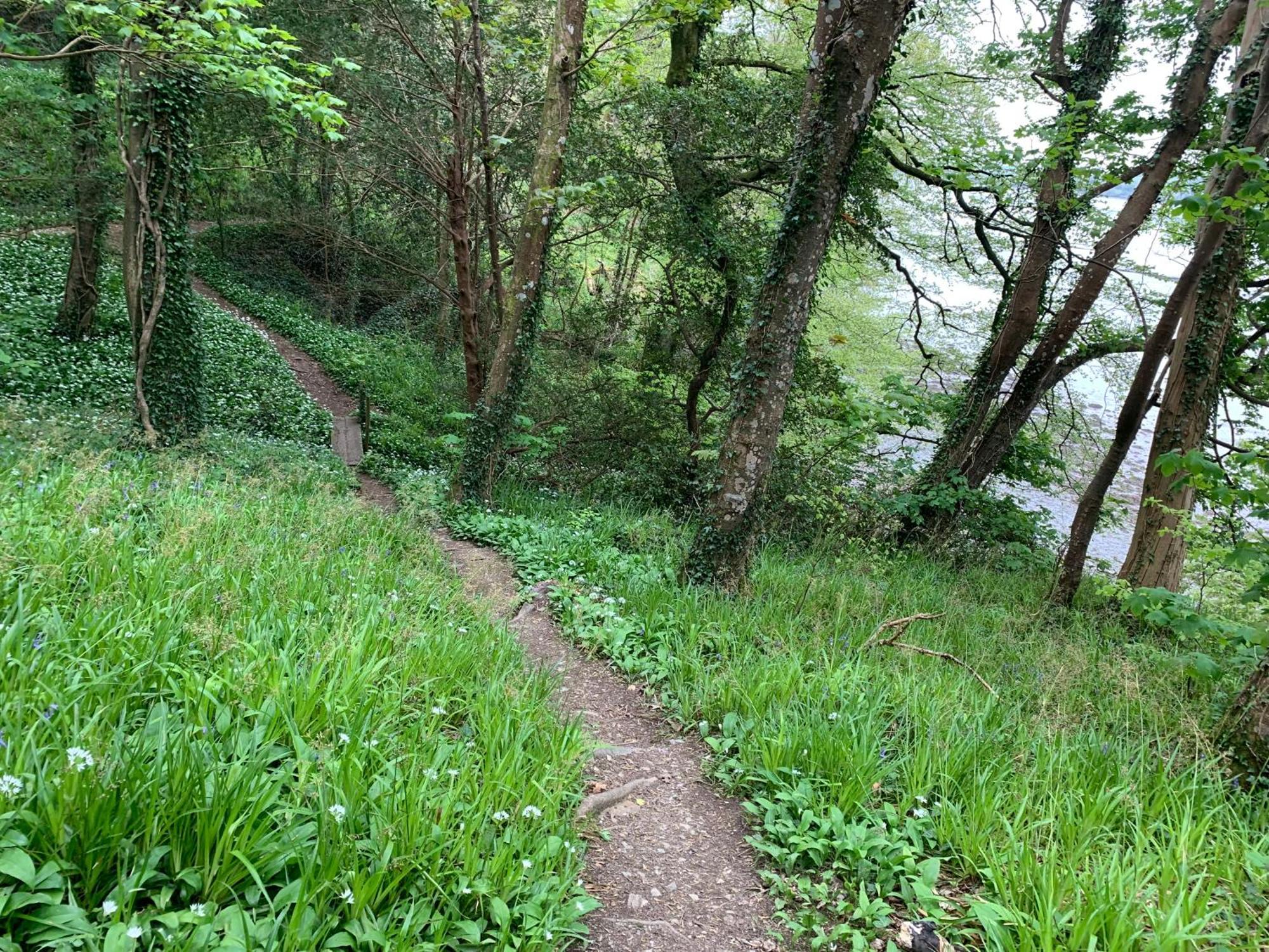 Maristow Cottages, Overlook Tamar Valley Dartmoor Plymouth Ngoại thất bức ảnh