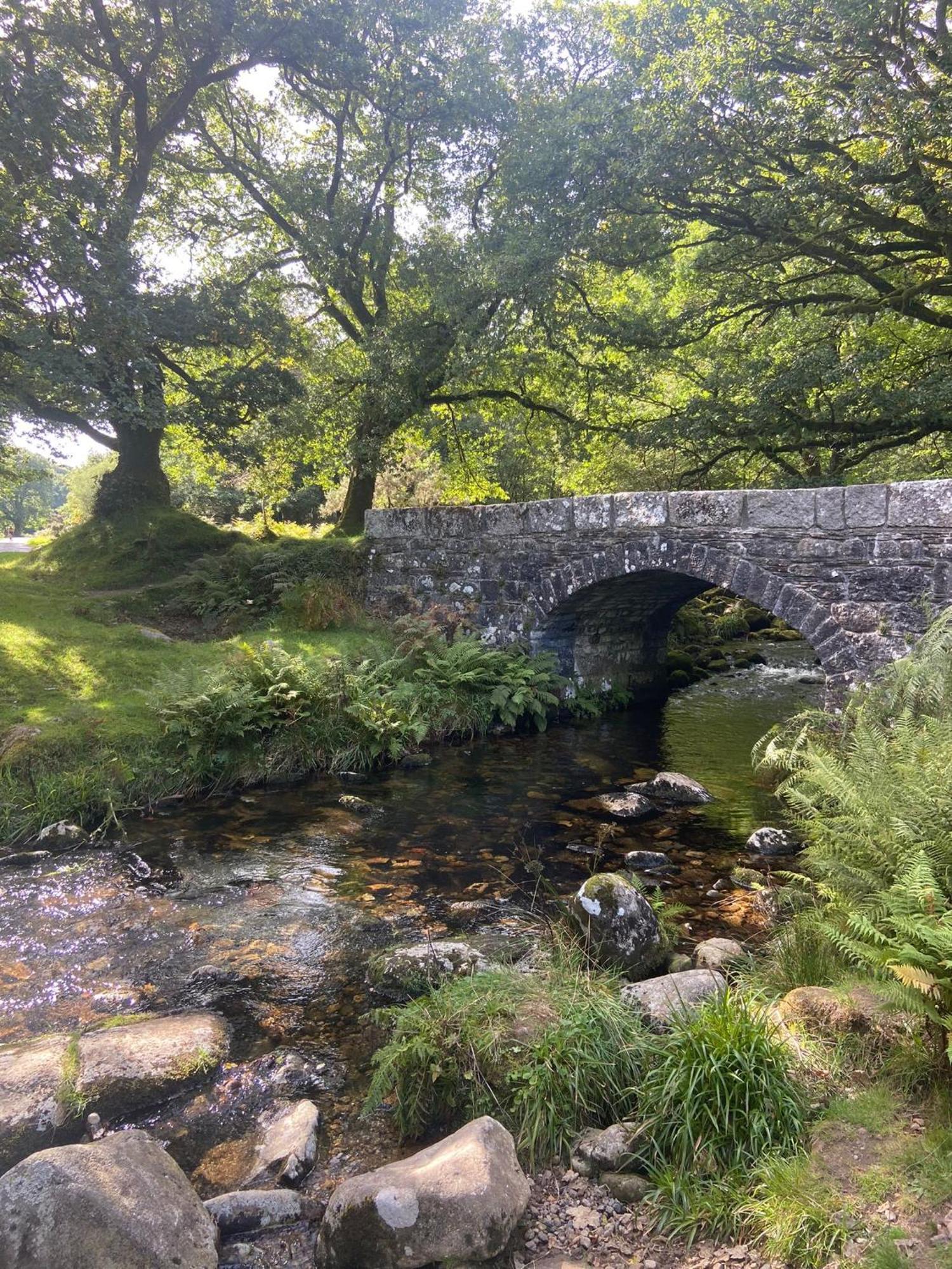 Maristow Cottages, Overlook Tamar Valley Dartmoor Plymouth Ngoại thất bức ảnh