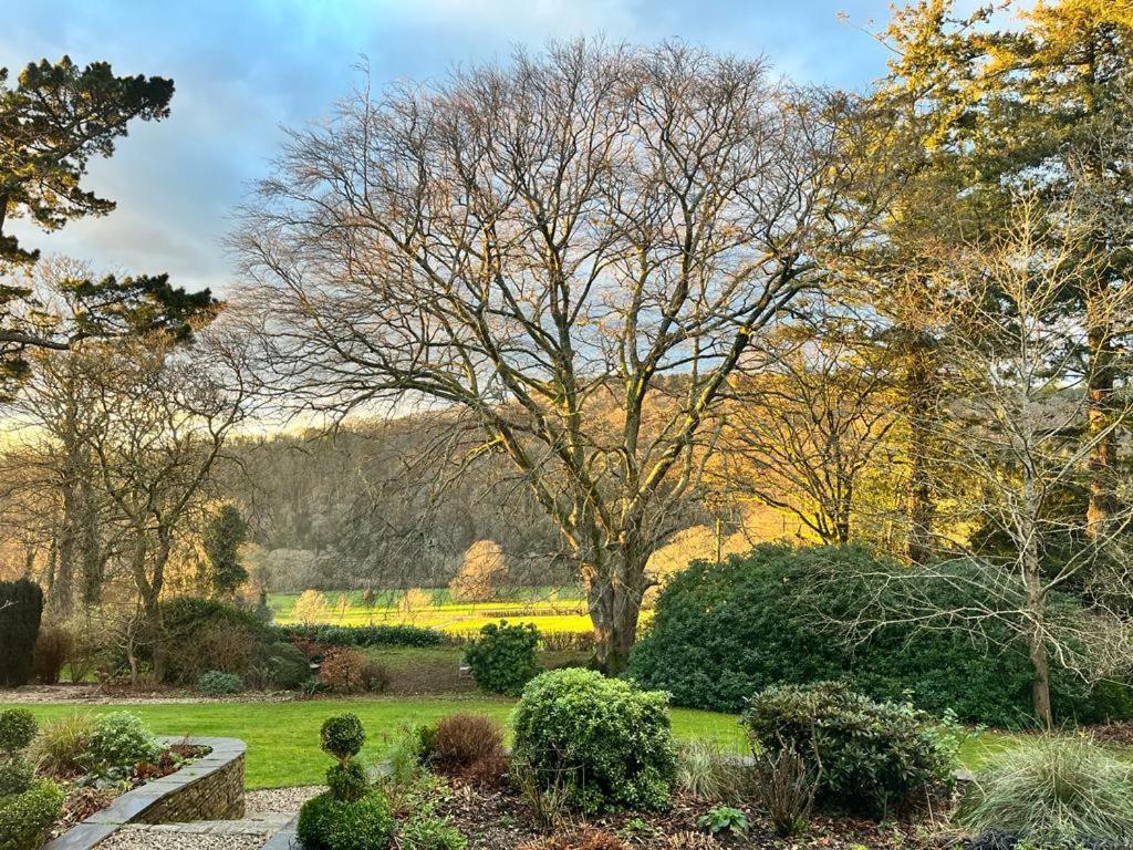Maristow Cottages, Overlook Tamar Valley Dartmoor Plymouth Ngoại thất bức ảnh
